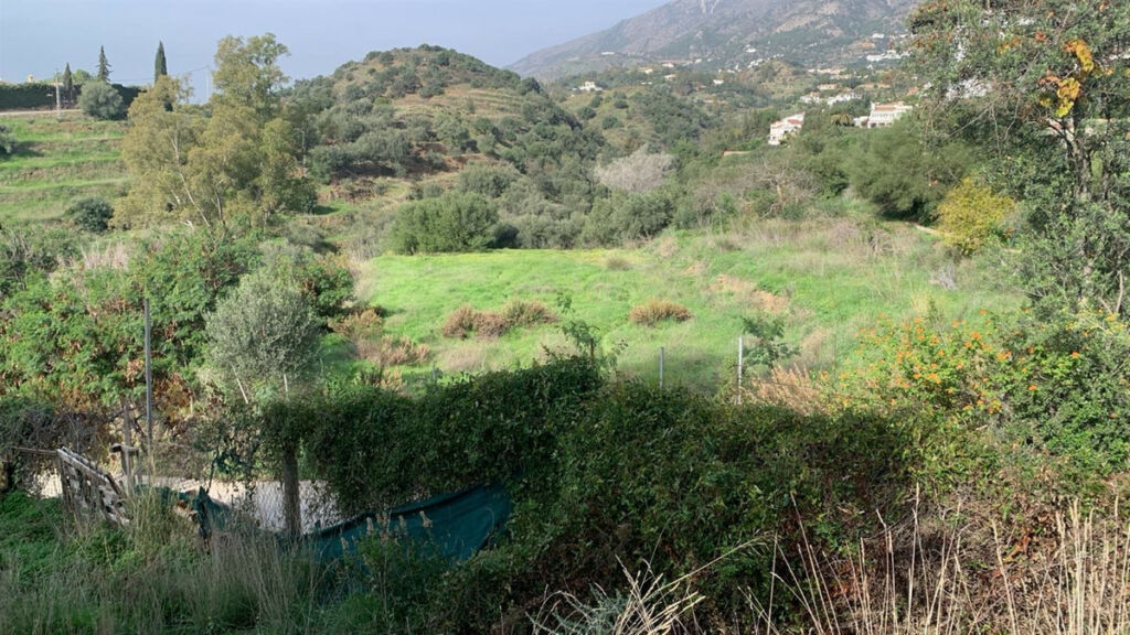 Finca - Cortijo Mijas Málaga - image 11