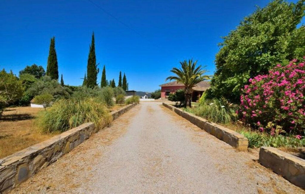 Finca - Cortijo Arriate Málaga - image 11
