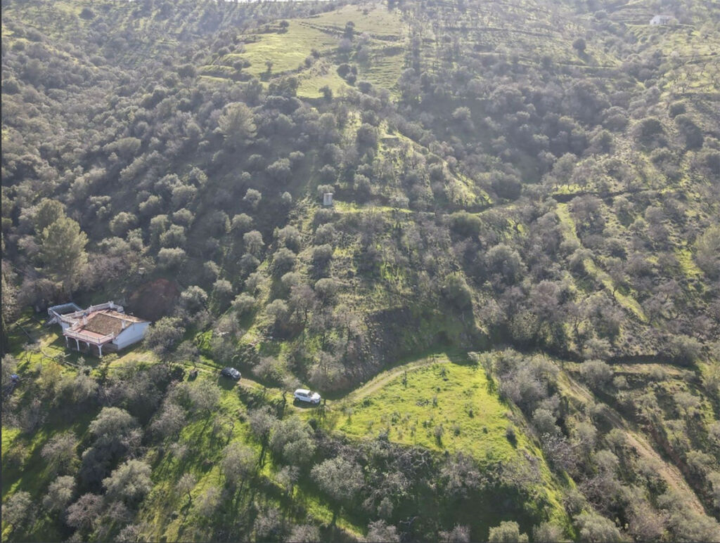 Finca - Cortijo Guaro Málaga - image 11