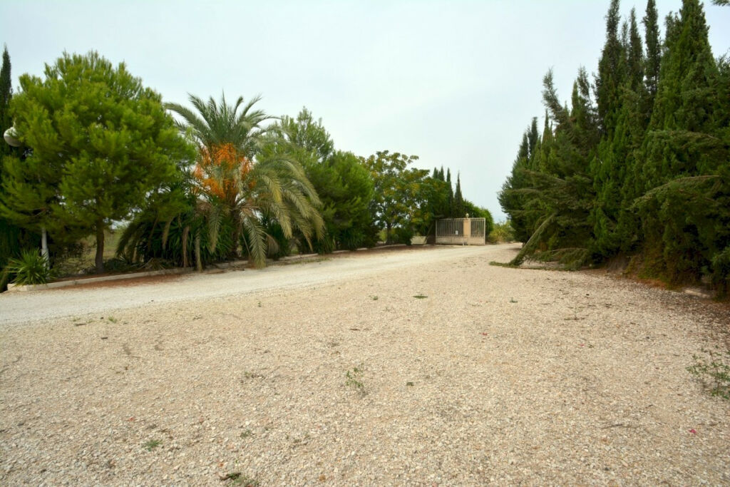 Finca - Cortijo Almoradi Alicante - image 12