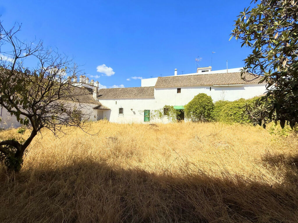 Finca - Cortijo Arcos de la Frontera Cádiz - image 12