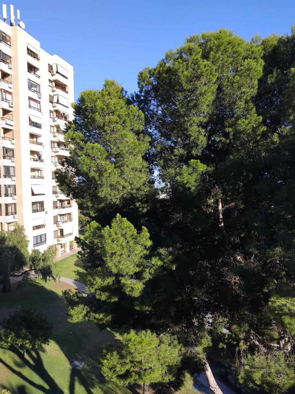 Middle Floor Apartment Nueva Andalucía Málaga - image 11