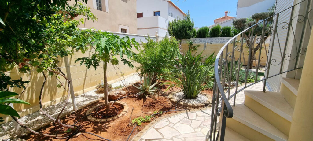 Detached Villa Denia Alicante - image 12