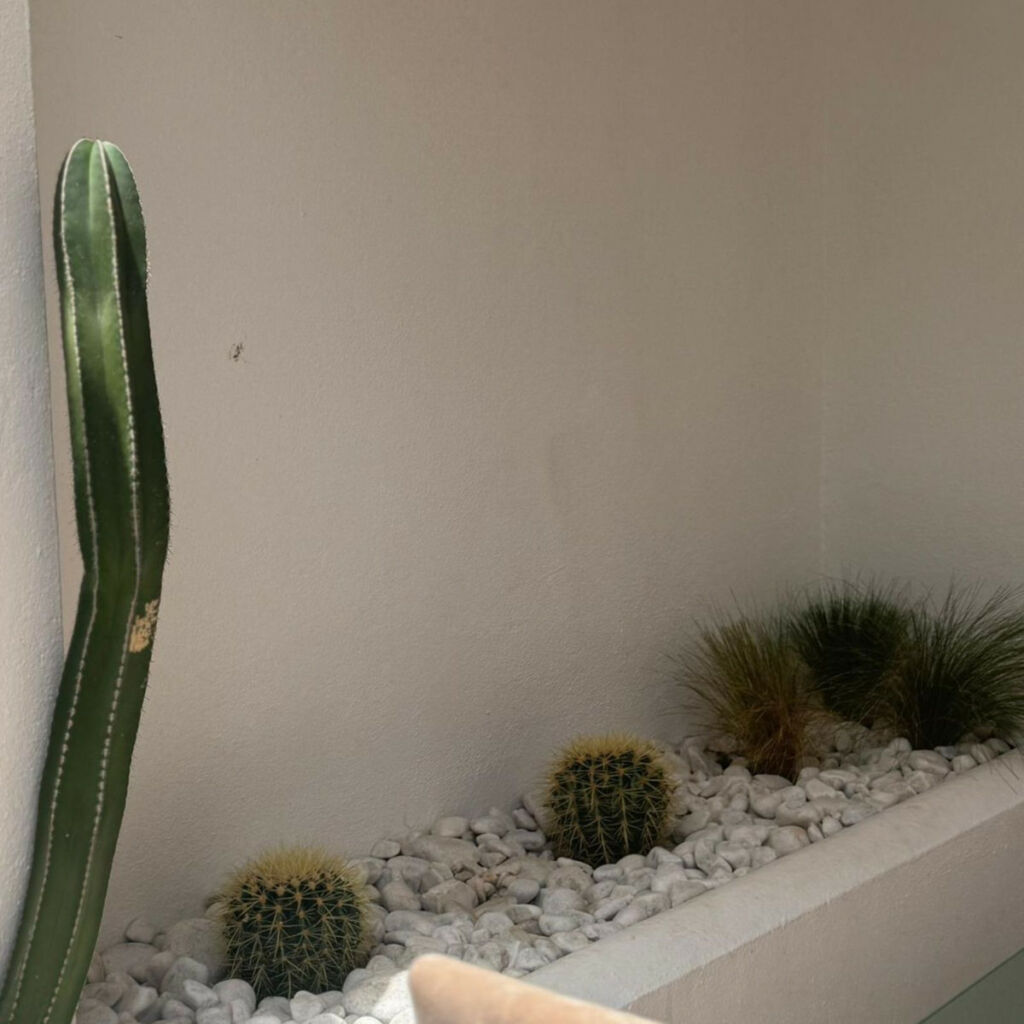Ground Floor Apartment Marbella Málaga - image 12
