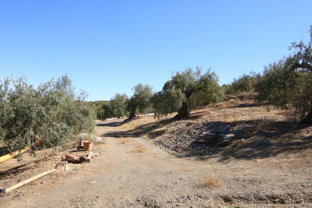 Land Tolox Málaga - image 12
