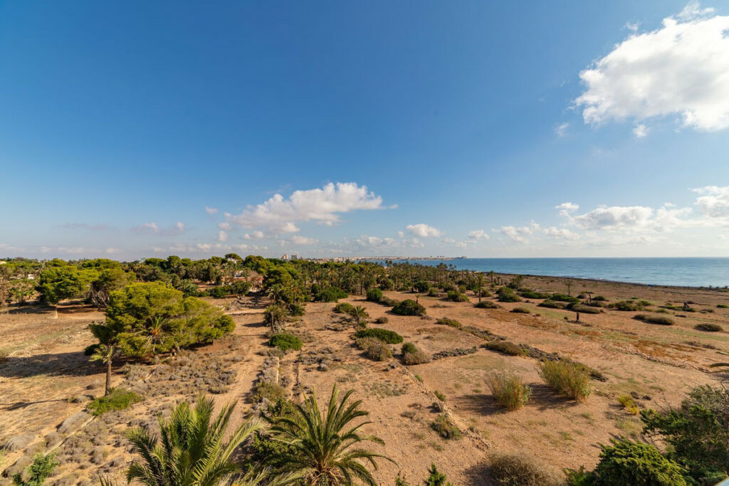 Middle Floor Apartment Punta Prima Alicante - image 13