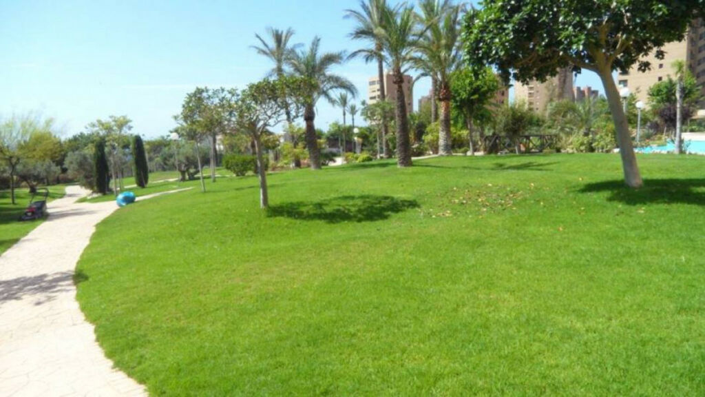 Middle Floor Apartment Benidorm Alicante - image 13