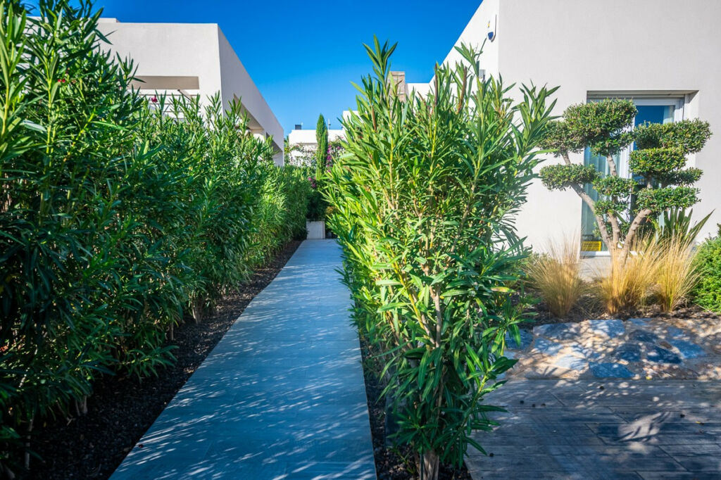 Detached Villa Algorfa Alicante - image 13