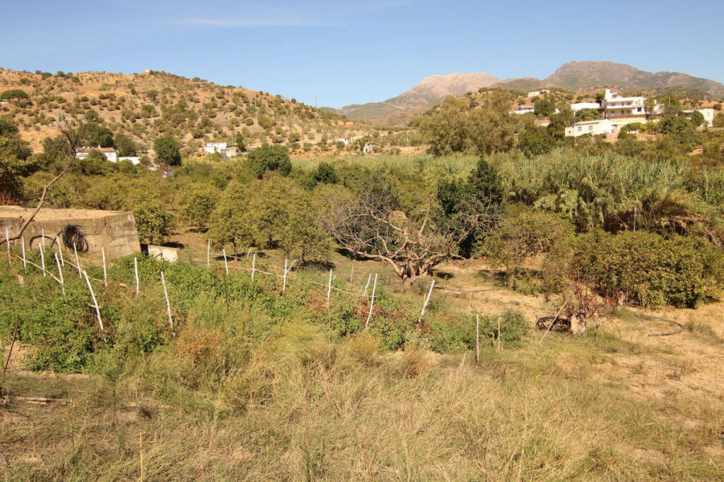 Finca - Cortijo Tolox Málaga - image 13