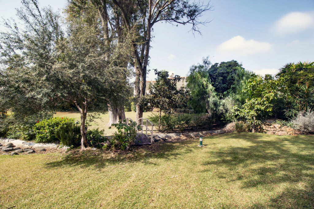 Middle Floor Apartment Estepona Málaga - image 13