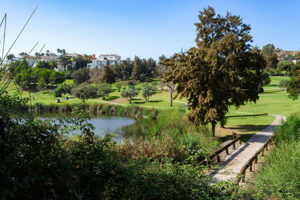 Residential Plot Benahavís Málaga - image 13