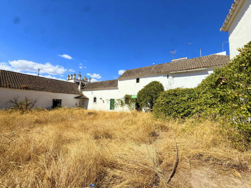 Finca - Cortijo Arcos de la Frontera Cádiz - image 13