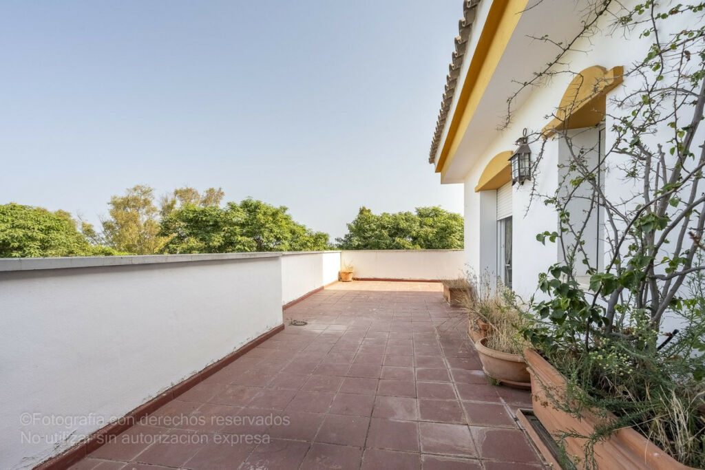 Penthouse Puerto Banús Málaga - image 13