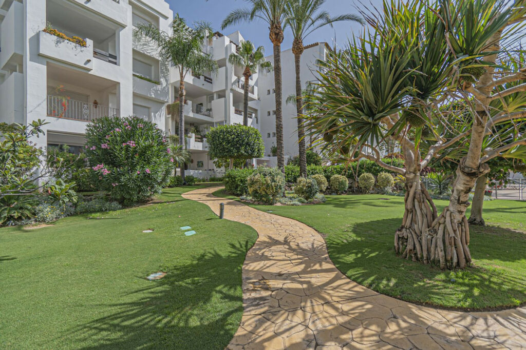 Middle Floor Apartment Costalita Málaga - image 13
