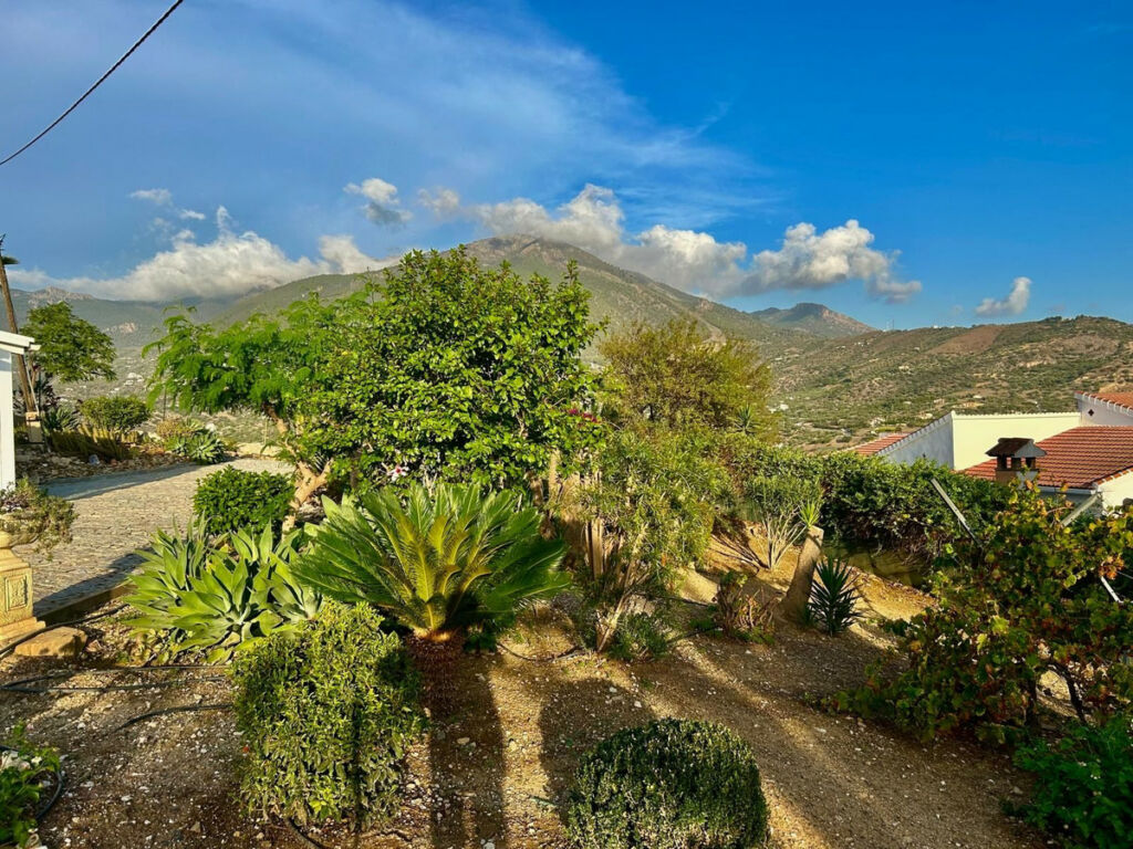 Detached Villa Alcaucín Málaga - image 13