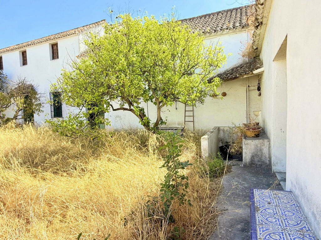 Finca - Cortijo Arcos de la Frontera Cádiz - image 14