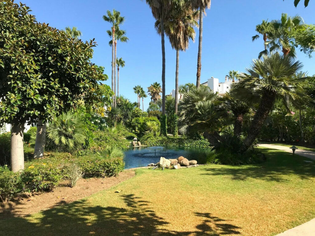 Ground Floor Apartment Estepona Málaga - image 14