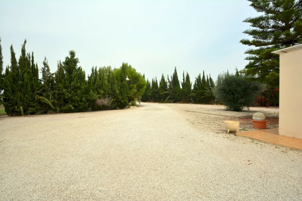 Finca - Cortijo Almoradi Alicante - image 14