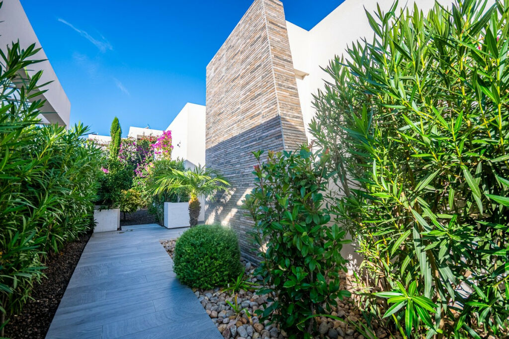 Detached Villa Algorfa Alicante - image 14