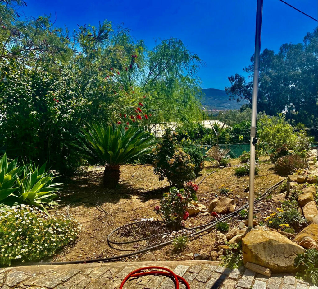 Detached Villa Alcaucín Málaga - image 14