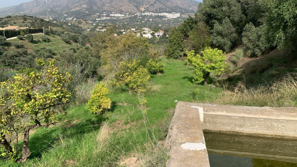 Finca - Cortijo Mijas Málaga - image 15
