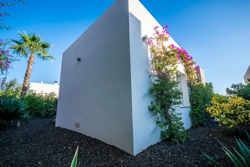 Detached Villa Algorfa Alicante - image 15