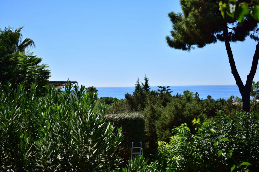 Finca - Cortijo Marbesa Málaga - image 15