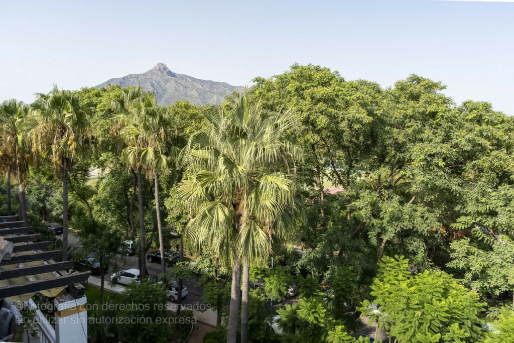 Penthouse Puerto Banús Málaga - image 15