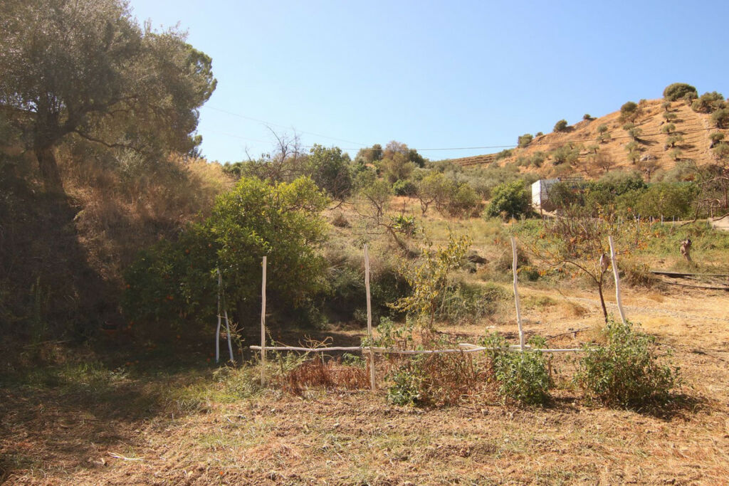 Finca - Cortijo Tolox Málaga - image 15
