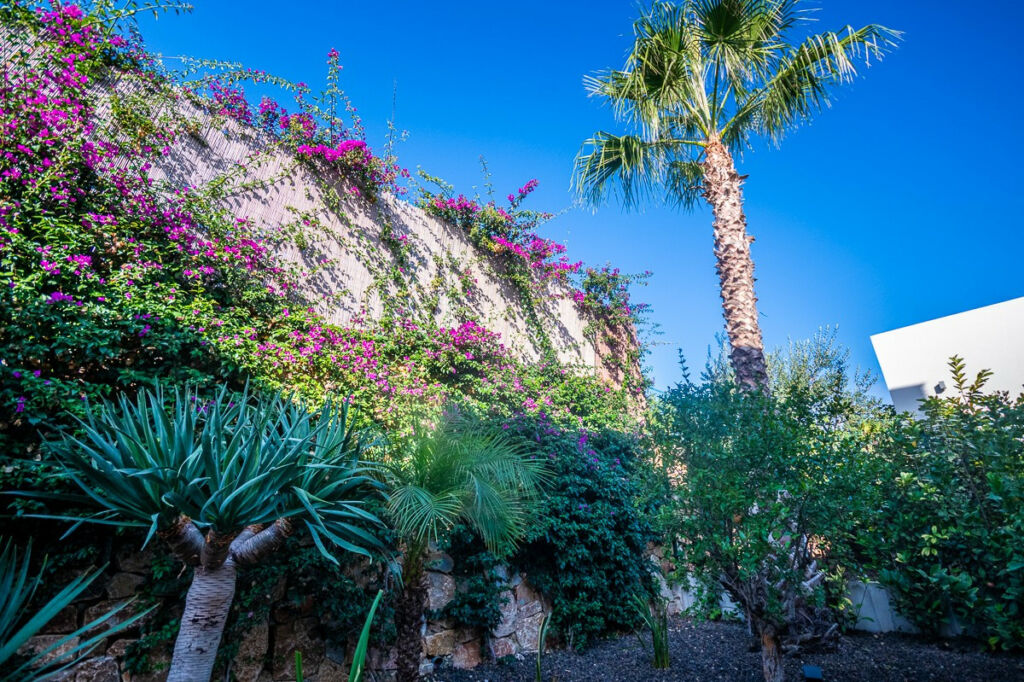 Detached Villa Algorfa Alicante - image 16