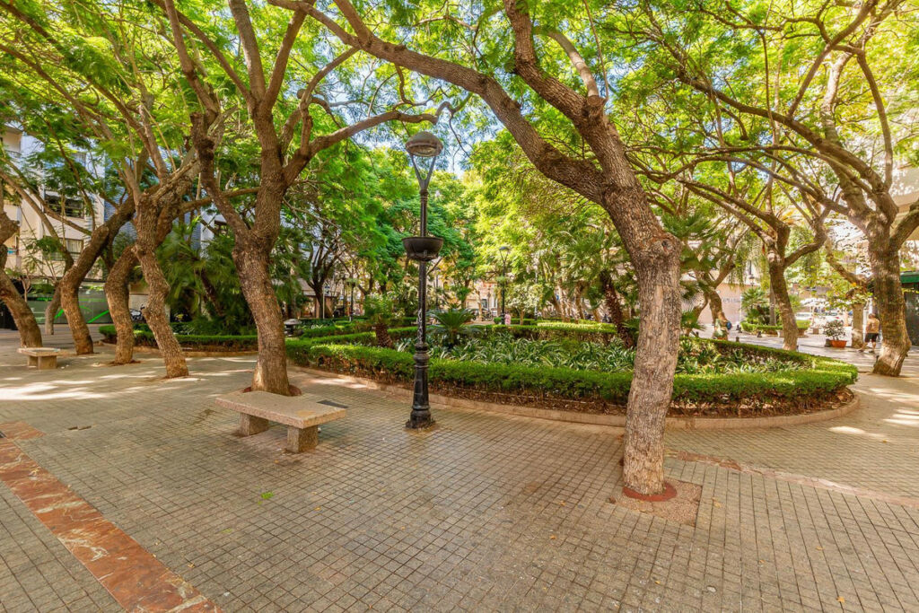 Middle Floor Apartment Marbella Málaga - image 16