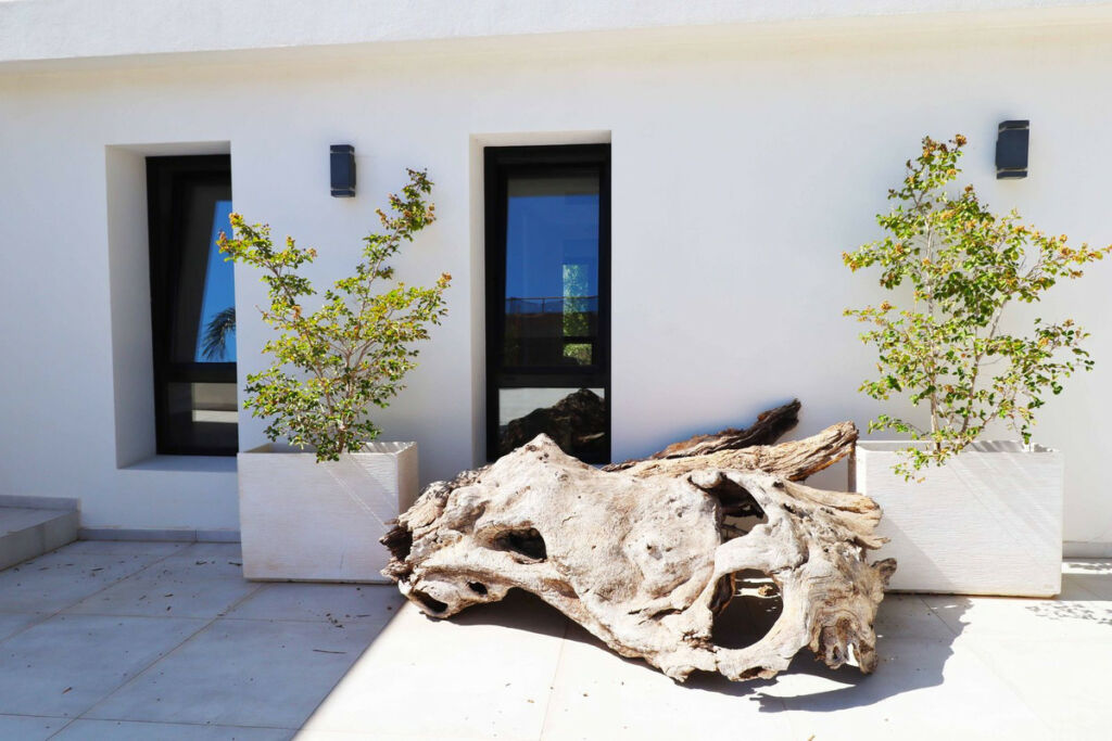 Detached Villa El Chaparral Málaga - image 16
