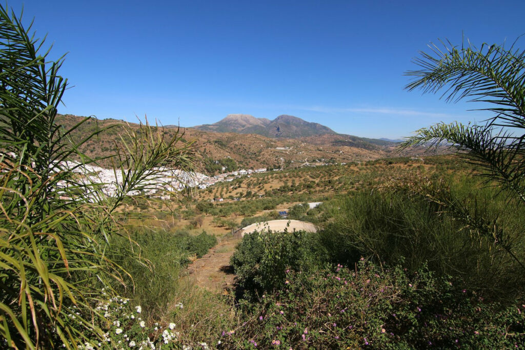 Land Tolox Málaga - image 16
