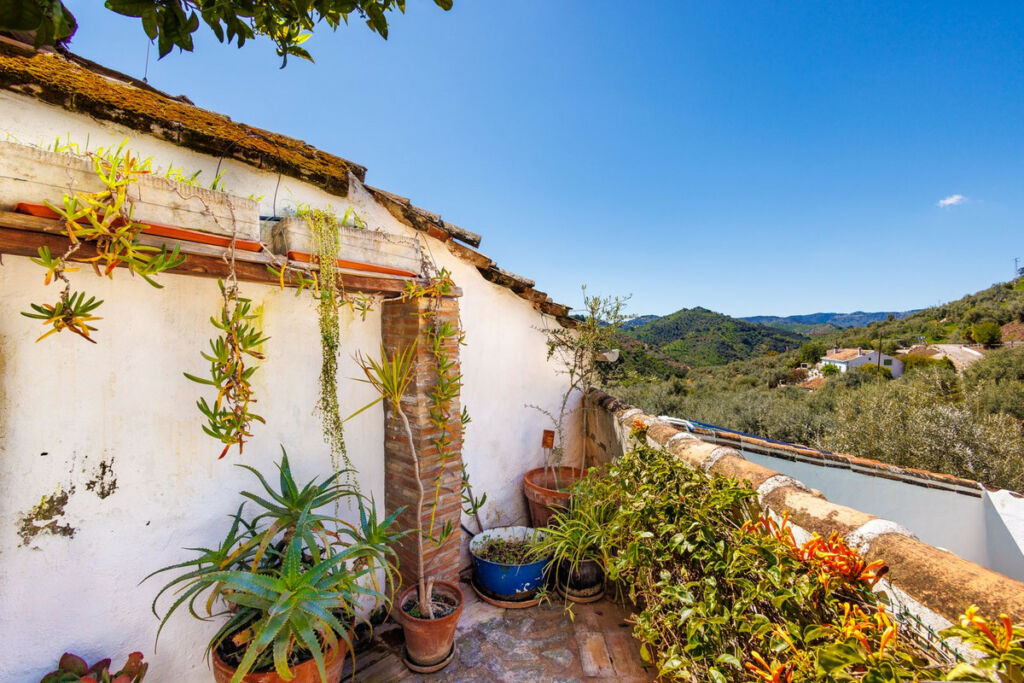 Finca - Cortijo Comares Málaga - image 17
