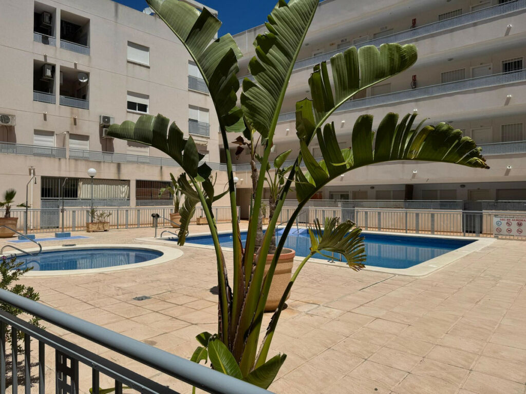 Middle Floor Apartment Almoradi Alicante - image 17