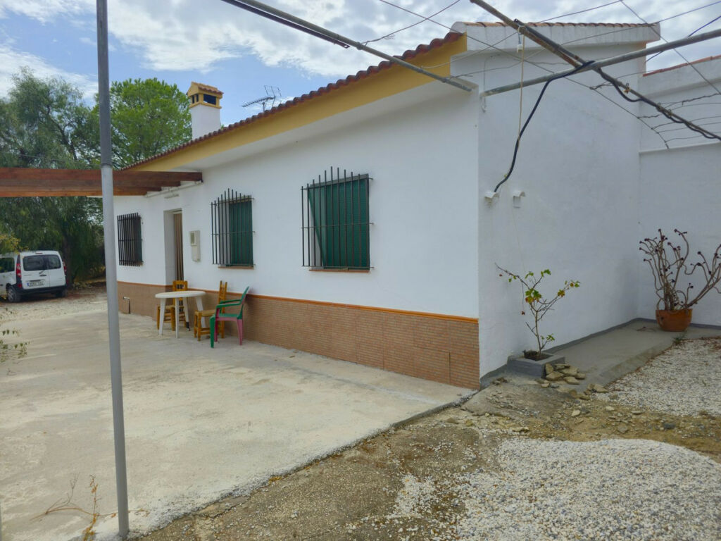 Finca - Cortijo Alora Málaga - image 17