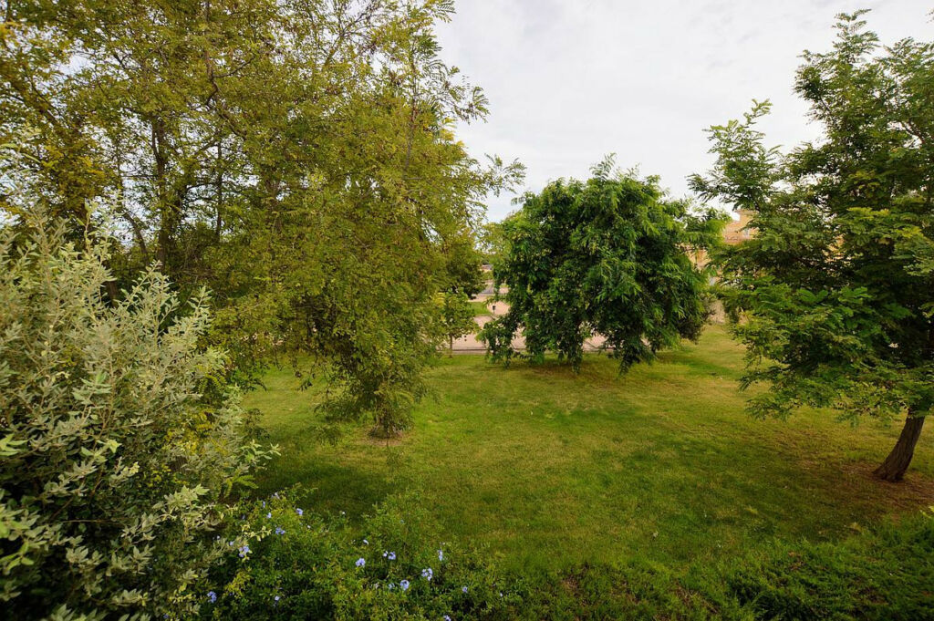 Semi-Detached House Punta Prima Alicante - image 17