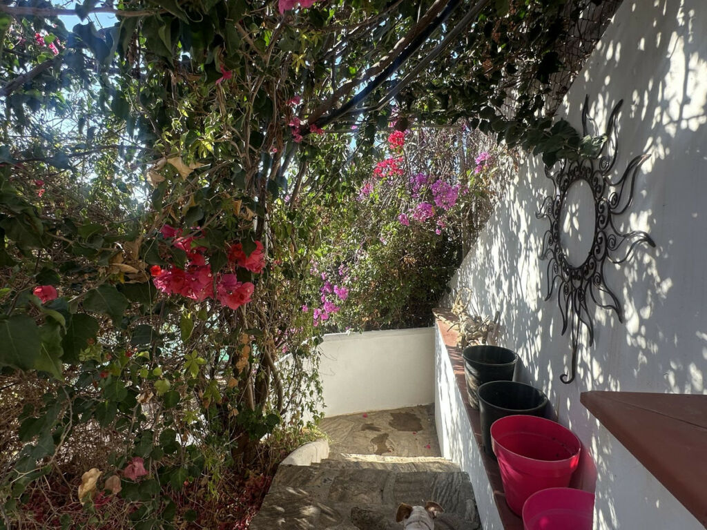 Detached Villa Rincón de la Victoria Málaga - image 17