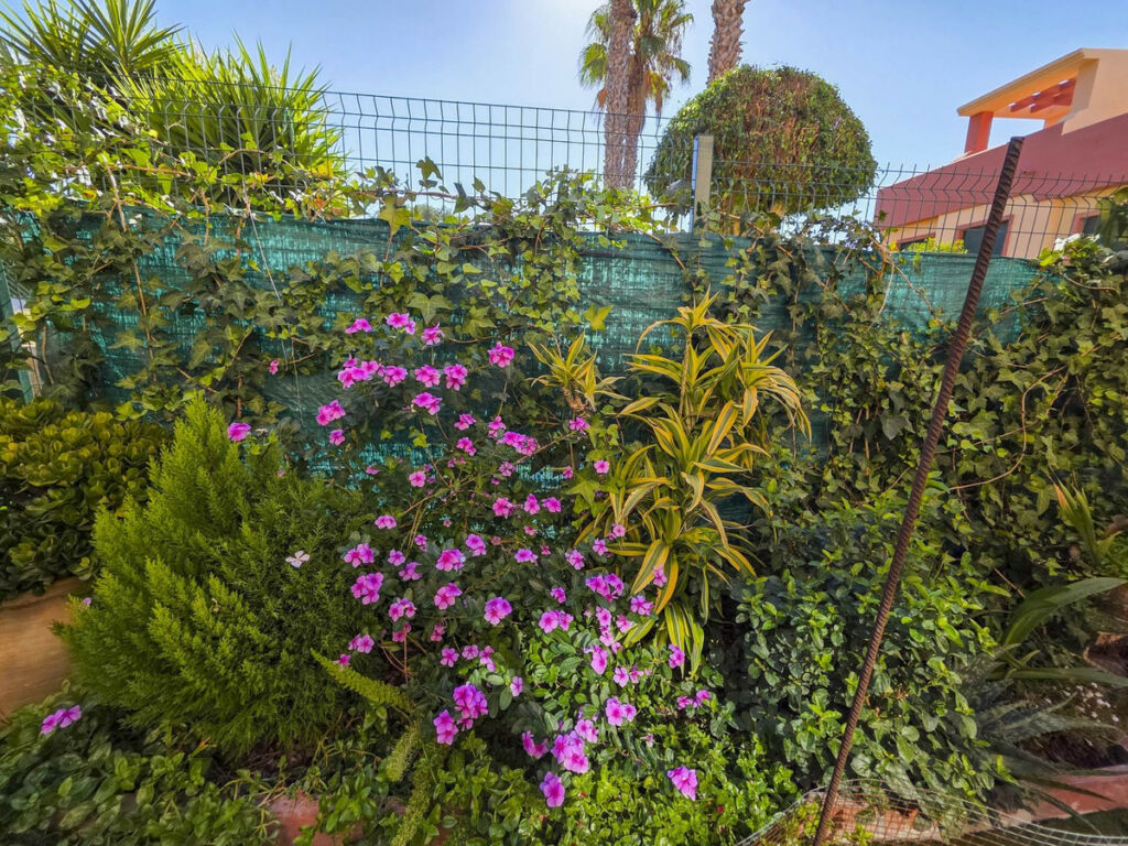 Townhouse La Duquesa Málaga - image 17