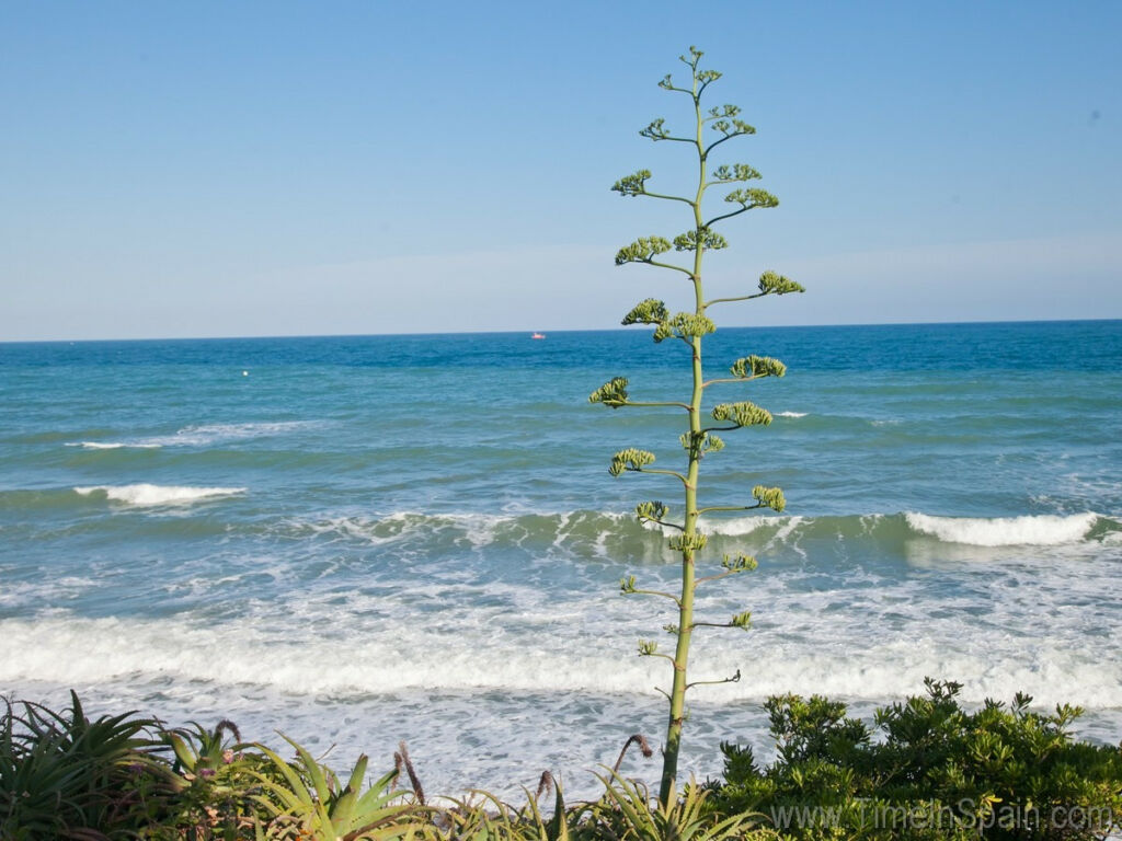 Townhouse Estepona Málaga - image 17