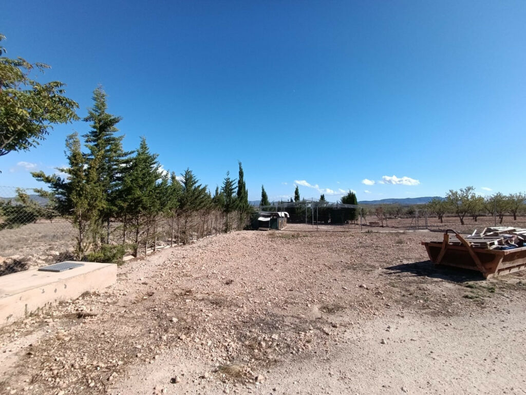 Finca - Cortijo Jumilla Murcia - image 18