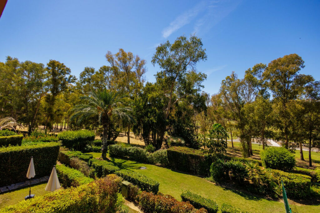 Middle Floor Apartment Estepona Málaga - image 17