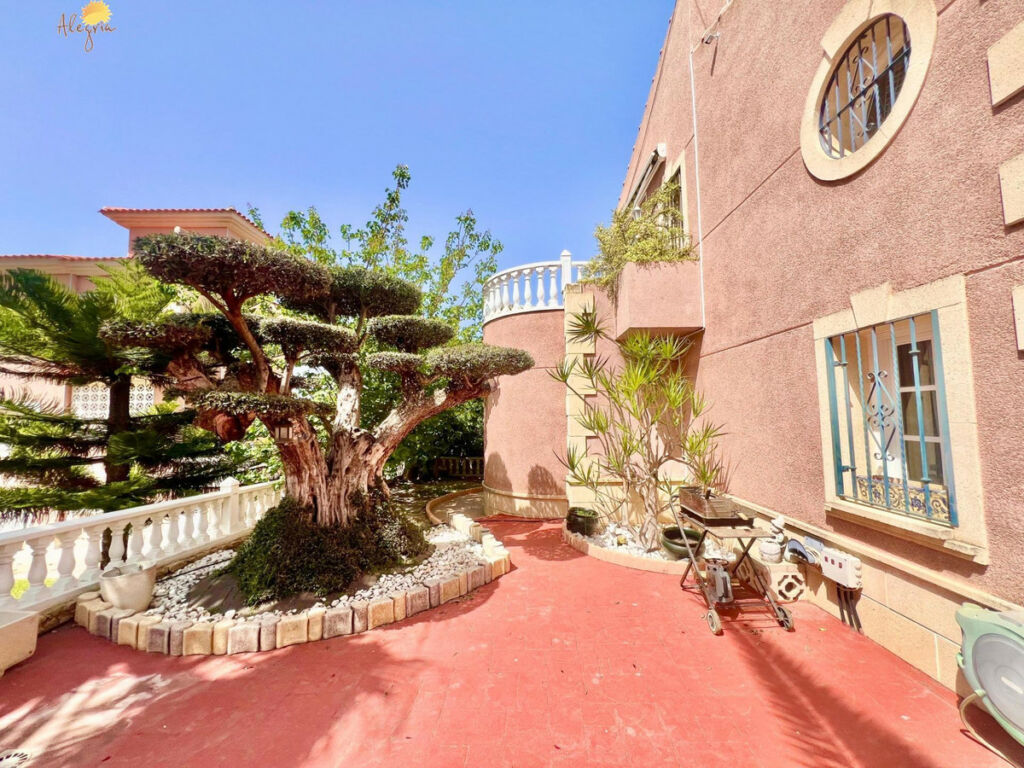 Bungalow Torrevieja Alicante - image 18