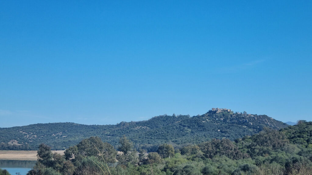 Finca - Cortijo Castellar de la Frontera Cádiz - image 18
