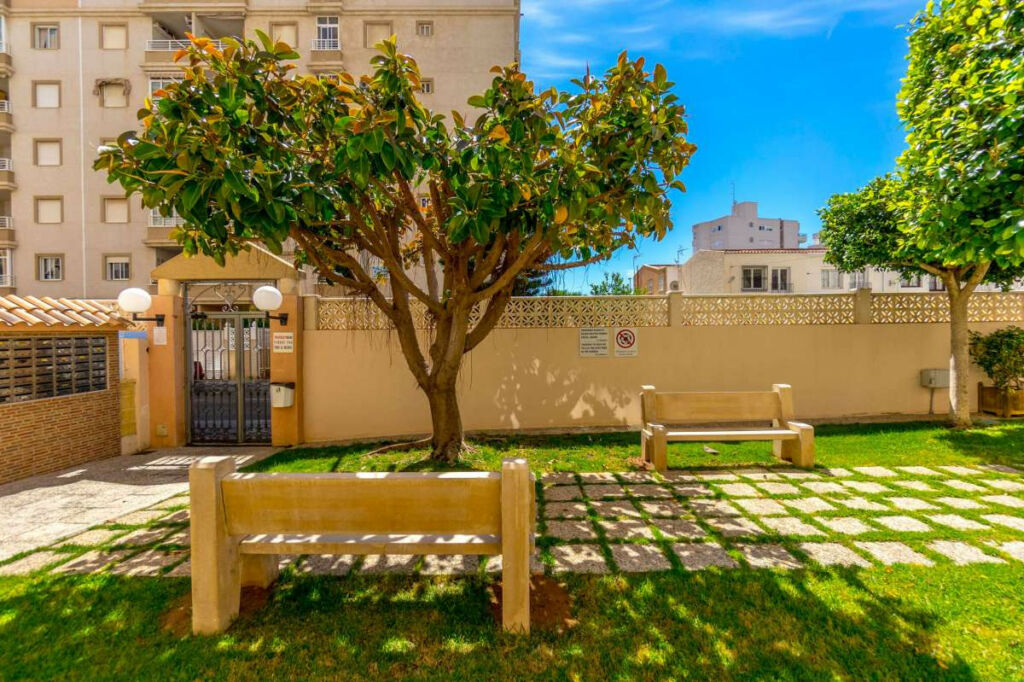 Middle Floor Apartment Torrevieja Alicante - image 19
