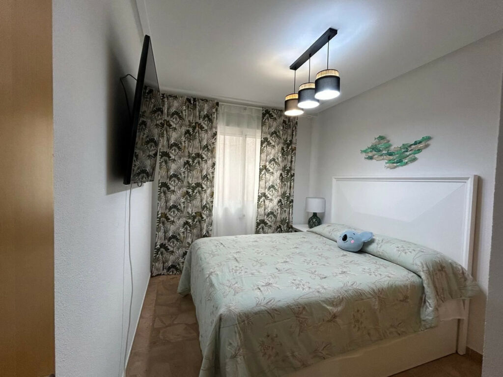 Middle Floor Apartment Alicante City Alicante - image 19