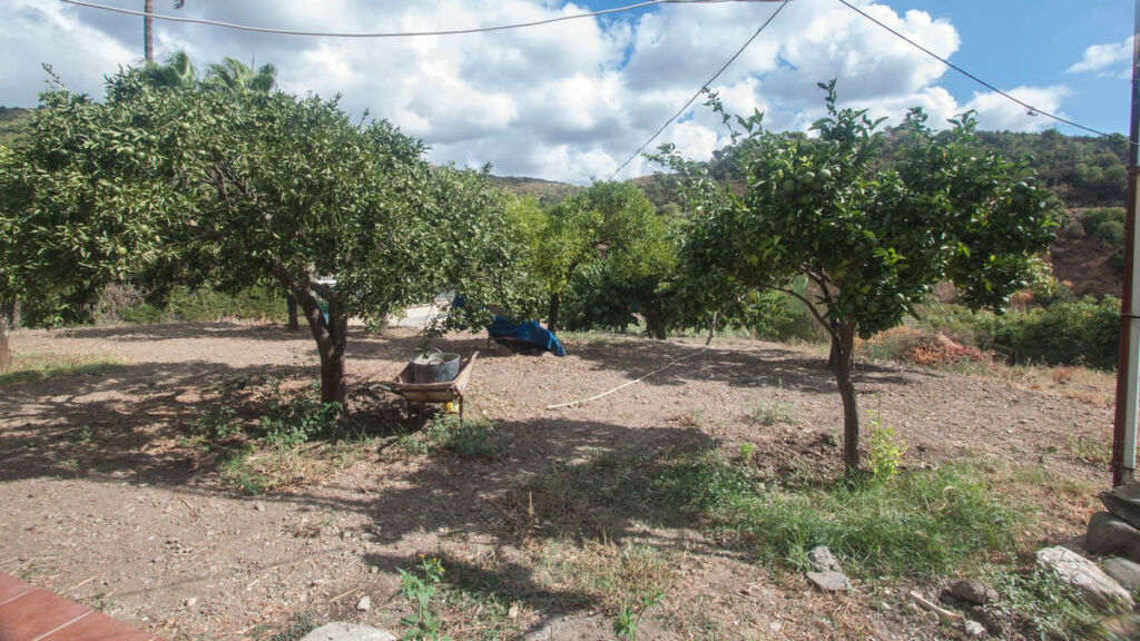 Finca - Cortijo Estepona Málaga - image 19