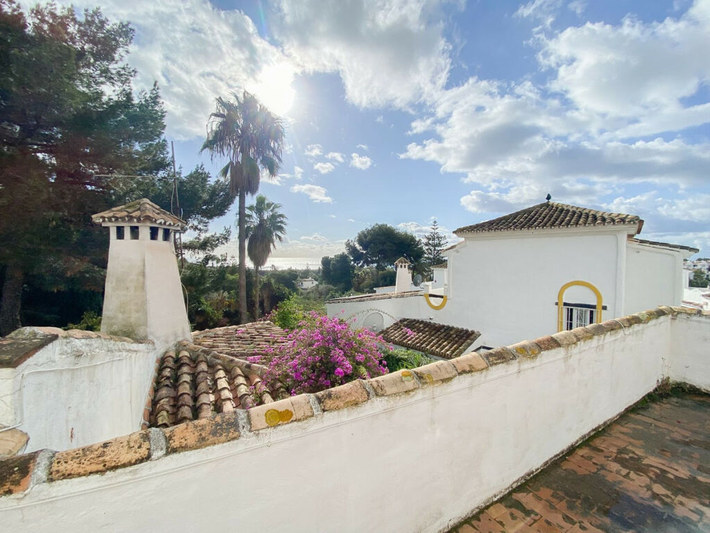 Detached Villa Calahonda Málaga - image 19
