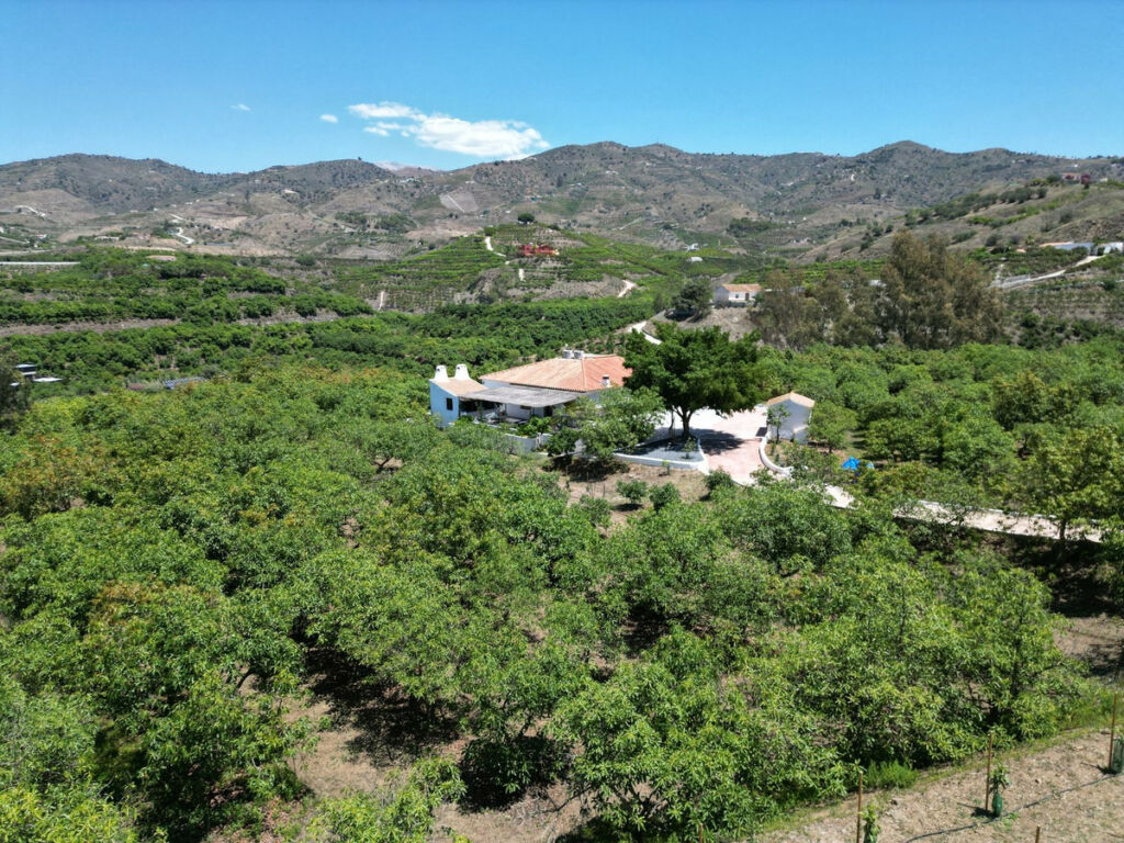 Finca - Cortijo Vélez-Málaga Málaga - image 2