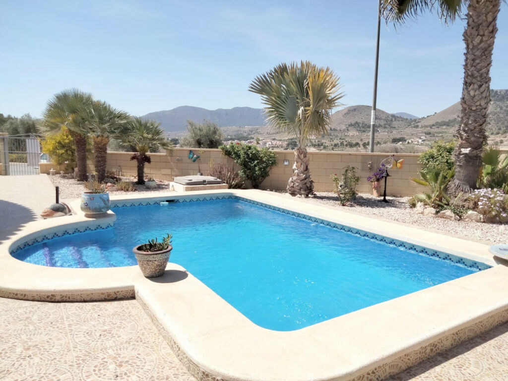 Detached Villa La Romana Alicante - image 2